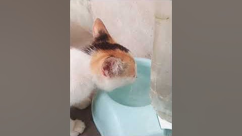 VLOG : My Experiences and Activities during Movement Control Order (MCO)