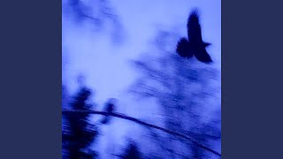 liminations