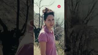 ¿Cómo renace un monte tras ser arrasado por el fuego?