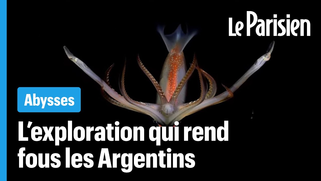 Cette exploration sous-marine diffusée en direct fascine des millions d'Argentins