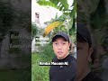 Penuh pokok mcm ni pun kami beli#propertywolf #belirumahjohor #rumahlama #rumahtinggal #johor