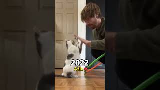 Most Talented Cats and Dogs Then and Now❤️🥺