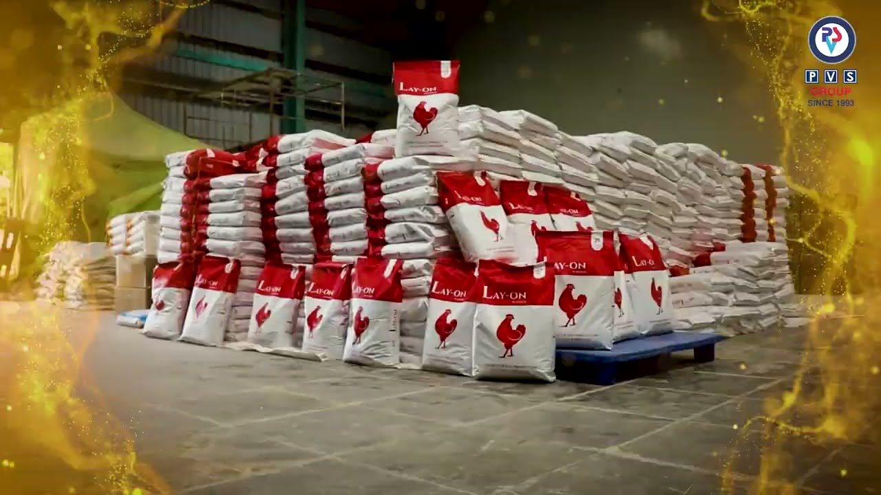 PVS Feed Additives | Global Exports to 65+ Countries | Trusted Animal Nutrition Solutions