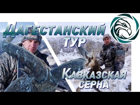 Горная охота в Северной Осетии: Дагестанский тур и Кавказская серна