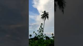beautiful sky indradhanush in my village