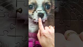 Chihuahua 💕 Love 💗 Jigsaw Puzzle #chihuahua #puzzle #love screenshot 5