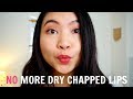 GET RID OF DRY CHAPPED LIPS FAST | How-To