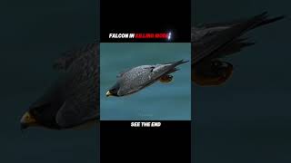 Falcon switches from Practice to Killing Mode #shorts #trending #wildlife #animals #falcon