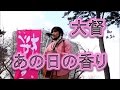 大督(Daitoku)「あの日の香り」!!2017小倉城桜まつり!!