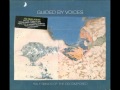 Guided by Voices - Everybody Thinks I'm a Raincloud (When I'm Not Looking)