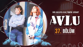 Avlu 37. Bölüm (Full HD)