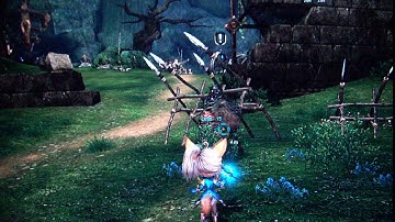 Tera Ps4 Pro freeze/unfreeze bug