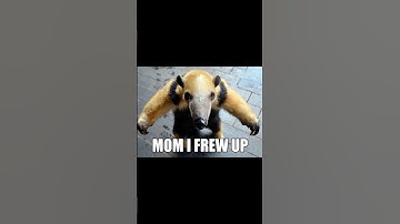 If you see this animal T-pose, RUN