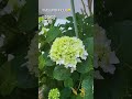 니가니가 #진해성 #추억의트로트풍경
