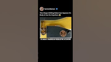 This Shape-Shifting Spider Robot Can Squeeze It