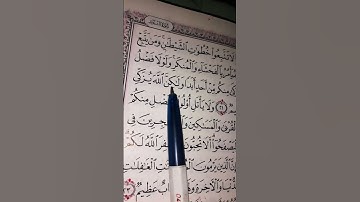 تلاوة رائعة من سورة النور ولولا فضل الله عليكم #القرآن_الكريم #اكسبلور #المصحف 🌹💐🌹💐🌹💐🌹💐🌹💐🌹💐🌹💐🌹💐🌹💐🌹💐🌹