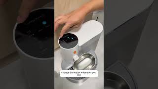 PetGravity Smart Water Fountain – Wireless & Self-Refilling | FREE Stainless Steel Bowl Gift!