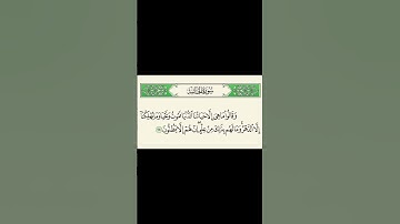 سورة الجاثية آية ٢٤