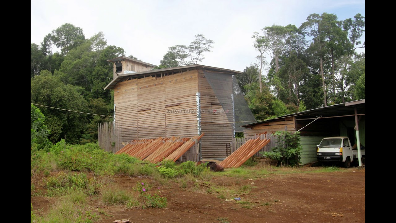 Berbagai Rumah Sarang Burung Walet yang ada di Kalimantan ( Various