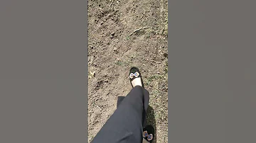 لا اريد أن أسمع صوت بني آدم البشر فصوت العصافير يكفيني 