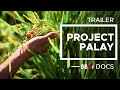 Trailer Project Palay | Bongbong Marcos