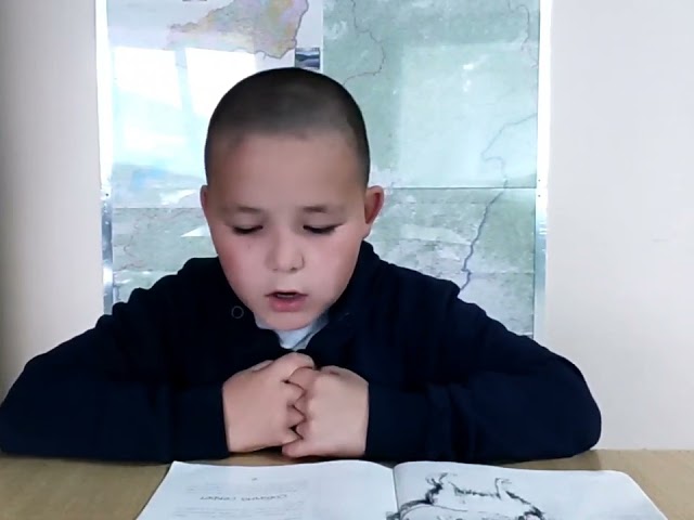 Базаржапов Егор, ученик 3-го класса МОУ "Хойто-Агинская СОШ"