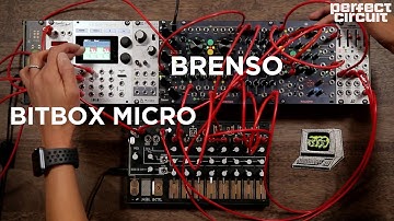 Frap Tools Brenso & 1010 BitBox Micro Eurorack Modular Synthesizer Jam