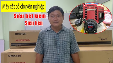 MÁY CẮT CỎ CHUYÊN NGHIỆP CHO VƯỜN SẦU RIÊNG, SIÊU TIẾT KIỆM NGUYÊN LIỆU!