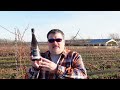 Flat Rock 2020 Chardonnay, Foundation Series (Ontario Wine #454)