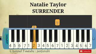 Video thumbnail of "instrumental - Natalie Taylor - SURRENDER - melodika tutorial"