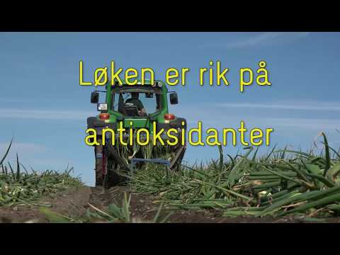 Video: Hvor Vokser Snøklokker