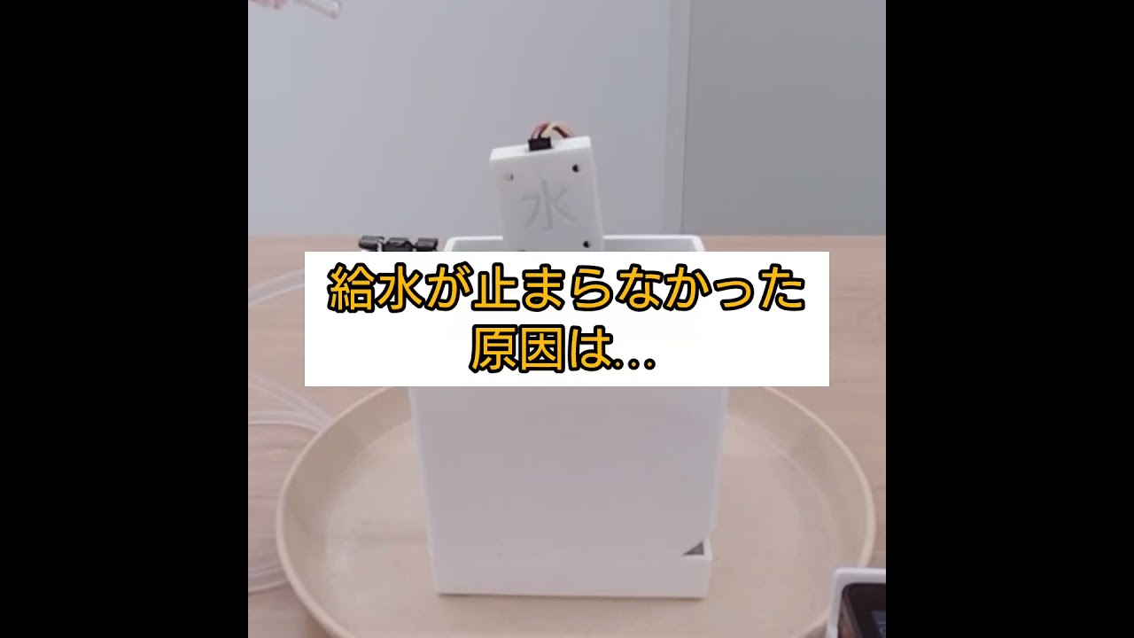 勝手に水やりしとくわ～オフィスの緑化～ | ProtoPedia
