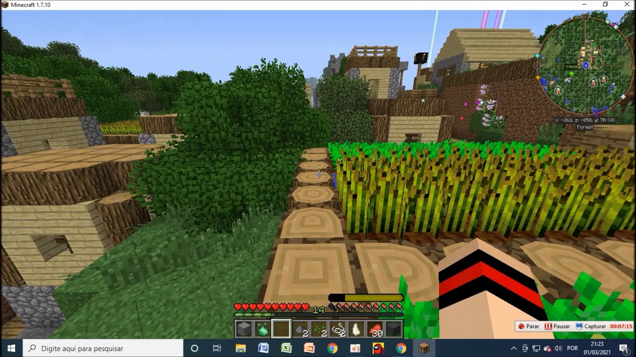 lobo jovem Ep3 - acampamento de lobos