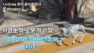 설날에 용돈 달라고 절하는 로봇개가 있다? | Unitree 한국 공식파트너 영인모빌리티 Go1 리뷰!