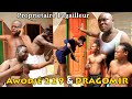 Dragomir  awodj 229  afountountoun   propritaire pagailleur 