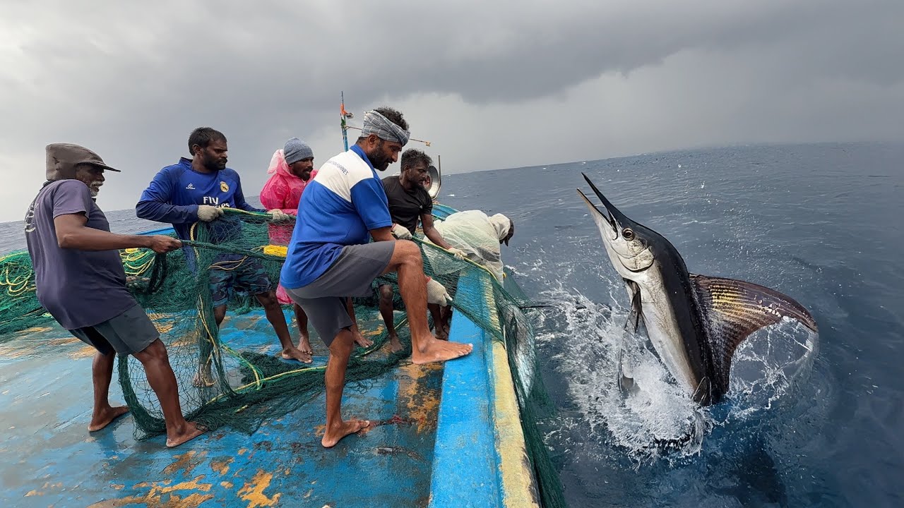 WOW! The Fifth Day We Stayed In The Deep Sea And Caught A Lot Of Big Fishes | Day-05 | S07-EP05