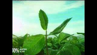 Download lagu Globaltv La Menthol 21 53 (11/03)