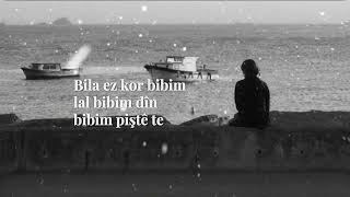 Barış Çelik - Pişti Te
