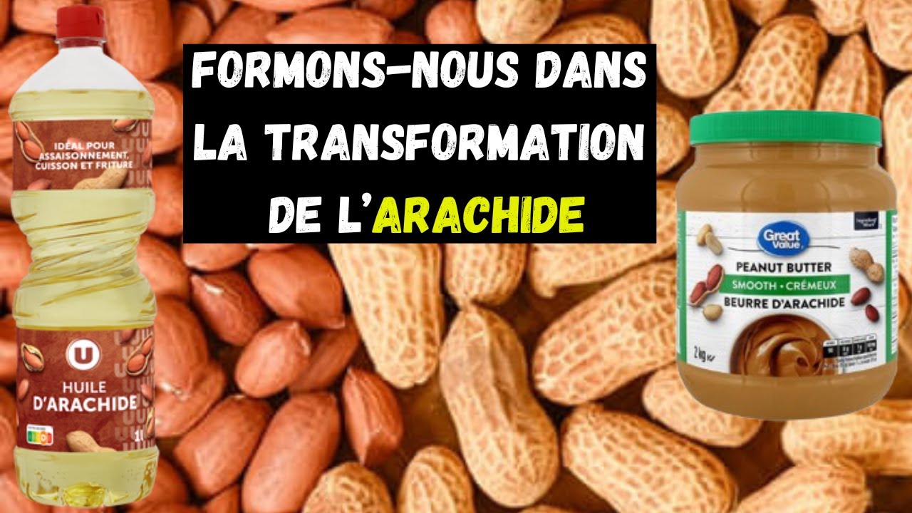 Transformation de l'ARACHIDE en Afrique: Formons-nous!!!