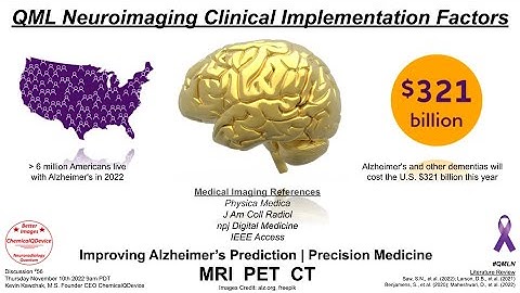 QML Neuroimaging Clinical Implementation Factors