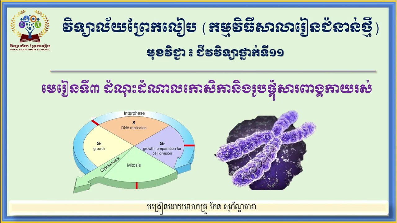 #មុខវិជ្ជាជីវវិទ្យាថ្នាក់ទី១១ #មេរៀនទី៣ ដំណុះដំណាលកោសិកានិងរូបផ្គុំសារពាង្គកាយរស់(ភាគ១)