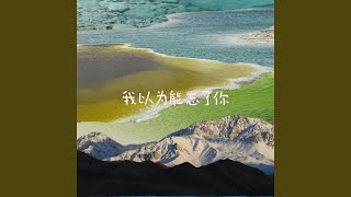 我以为能忘了你