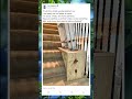 Finally! A Safe Ladder on Stairs 🪜 Genius Home Safety Hack!  #LadderHack #HomeSafety