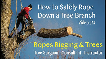 How to Safely Rope Down a Tree Branch #12
