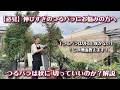 【夏～秋】理由が分かれば、つるバラも切って大丈夫です！