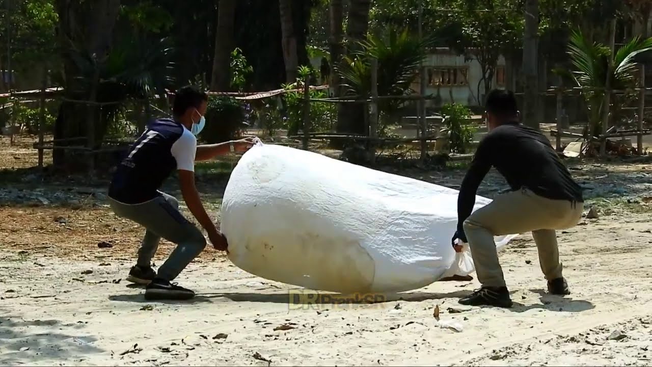 Best Dog Prank Big Blanket vs Prank Sleeping Dog Very Funny Must