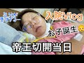 【アラサー初産】帝王切開当日の入院Vlog