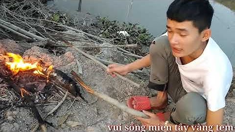 Cá Lóc Nướng Món Ăn Đồng Quê