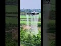 Agriculture Drone Spraying:Efficient,Time-saving and Labor-Saving