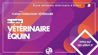 Conférence FFVET23 Vétérinaire équin